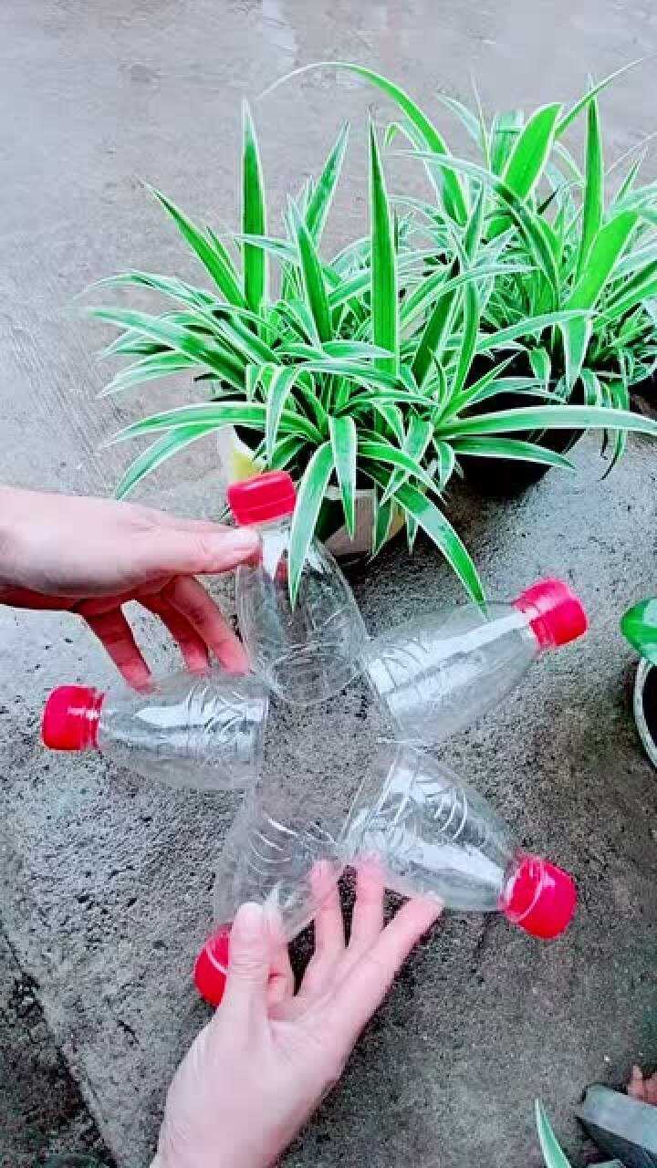 塑料瓶怎样做花盆(手工制作吊兰塑料花盆)